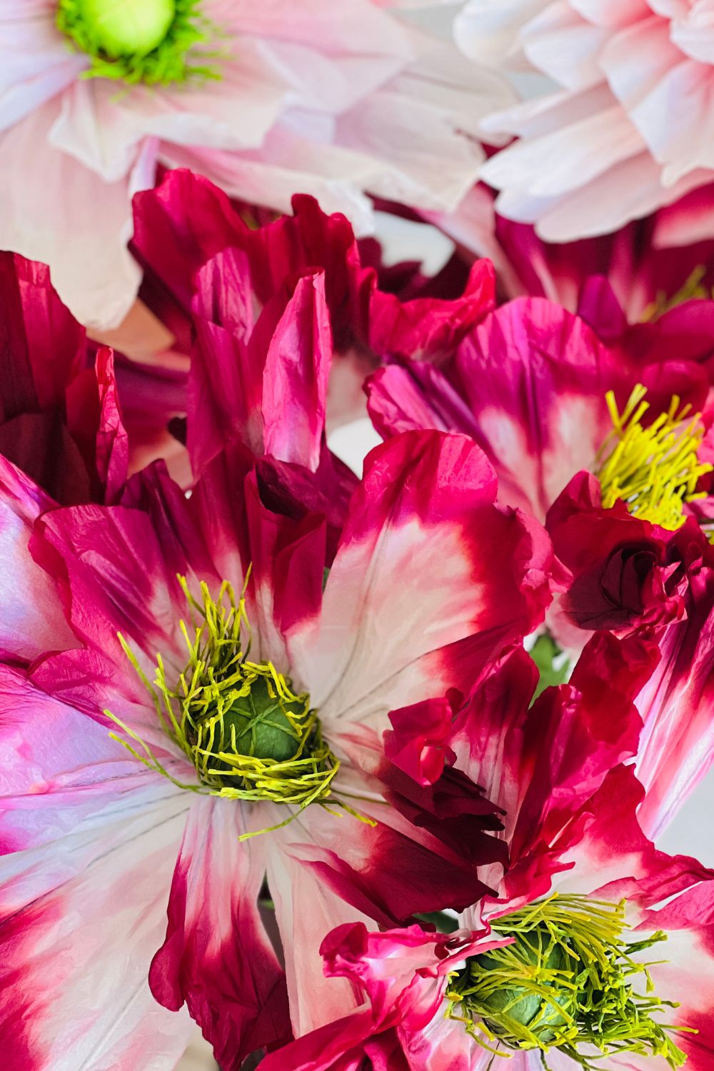 Poppy Paper Flower- Claret/Pink