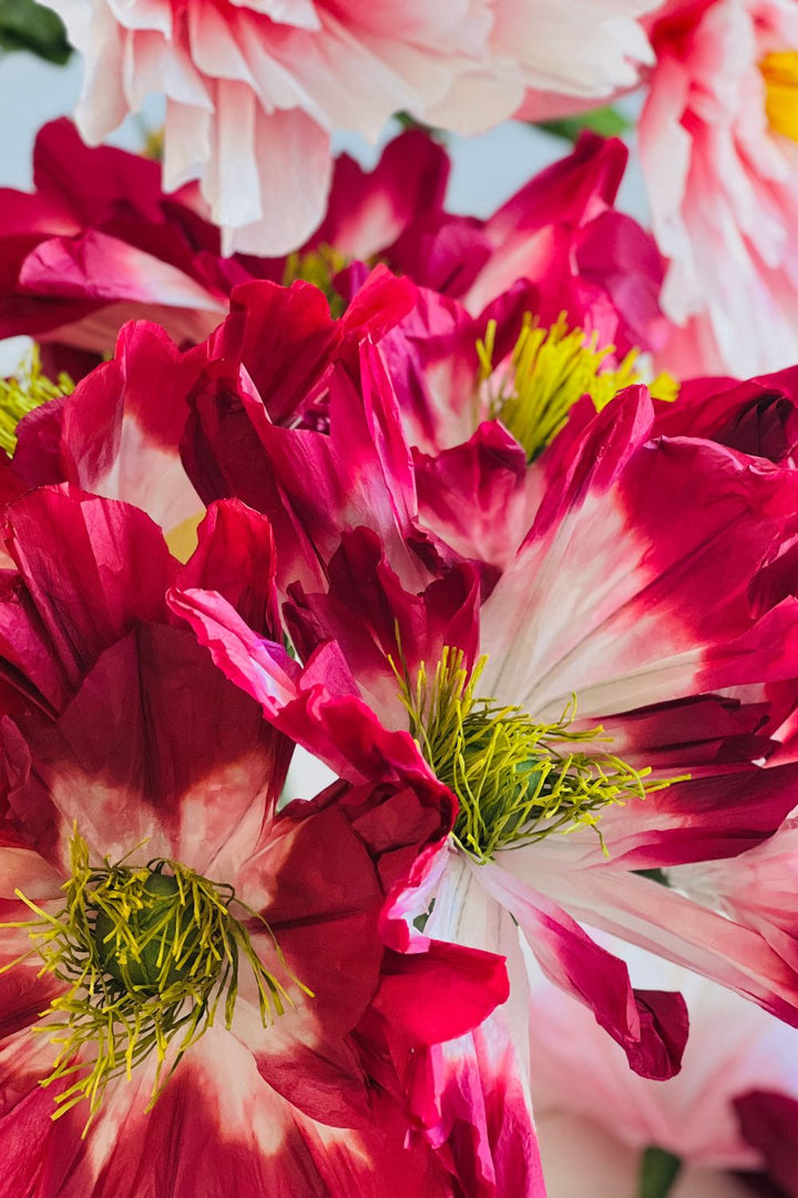 Poppy Paper Flower- Claret/Pink