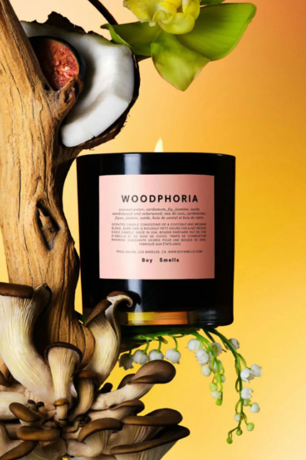 Boy Smells Woodphoria Standard Candle